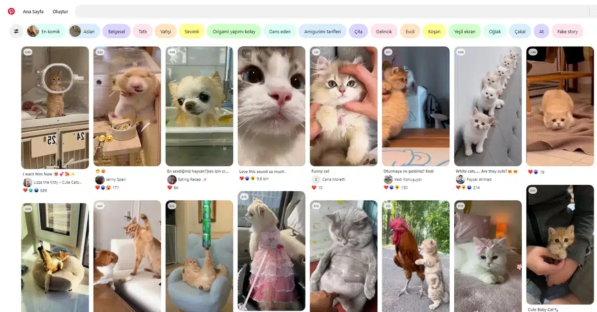 Pinterest Video İndirme Adımları Programsız