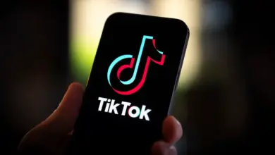 TikTok Arama Geçmişi Silme