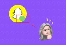 Snapchat Yesil Nokta Ne Demek