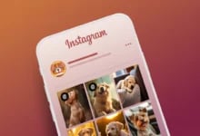 Turuncu-kırmızı renk geçişli arka planda Instagram logosu, köpek profil simgesi ve köpek fotoğraflarından oluşan gönderi ızgarası bulunan akıllı telefon ekranı.