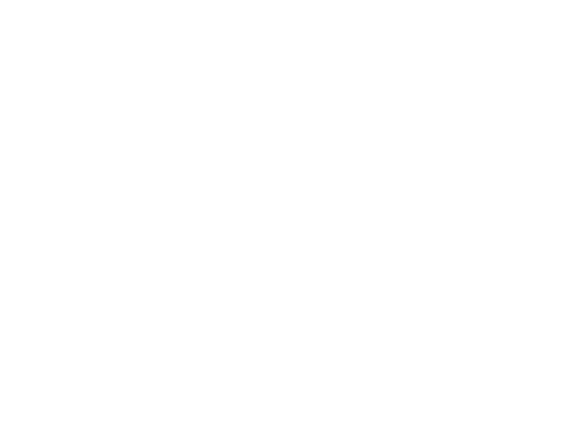 PCI DSS